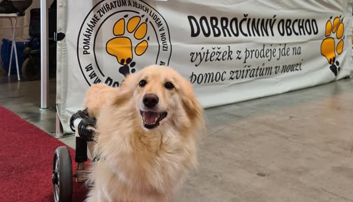 Setkejte se s námi osobně!